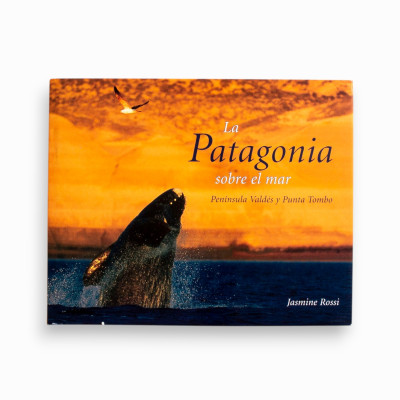 The Wild Shores of Patagonia